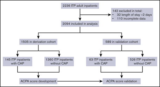 Flow diagram of the study design.