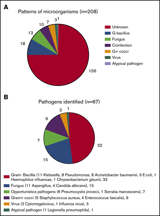 Profiles of CAP in nonsplenectomized adult ITP. (A) Patterns of microorganisms. The infective pathogens in 52 of 208 ITP inpatients with CAP were identified. (B) Pathogens identified. The majority of bacilli were Gram-negative (G–). E coli, Escherichia coli; G+, Gram-positive.