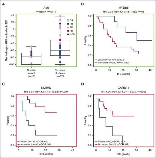 Gene-level mutational analyses correlate to clinical outcomes. Mutations in A20 (A) and MYD88 (B) correlate to favorable prognosis. Mutations in KMT2D (C) and CARD11 (D) correlate to poor prognosis. BOR, best overall response; mDOR, median DOR; mPFS, median PFS; NED, no evidence of disease.