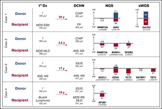 Sequencing data of both donor and recipient after allogeneic hematopoietic stem cell transplantation at time of diagnosis of DCHN. NGS was performed by using a panel of 21 genes relevant to myeloid malignancies. Shallow whole-genome sequencing (sWGS) was performed only of both donor and recipient samples as described in case 1 (details are provided in the supplemental Data). Definitions of hematologic neoplasms are according to the updated (2016) World Health Organization classification and to Valent et al.3 AML-M2, acute myeloid leukemia with maturation; AML-M5, acute monoblastic leukemia; Dx, diagnosis; CHIP, CH of indeterminate potential; MDS-MLD, MDS with multilineage dysplasia; MDS-RS-MLD, MDS with ring sideroblasts and multilineage dysplasia; yo, years old.