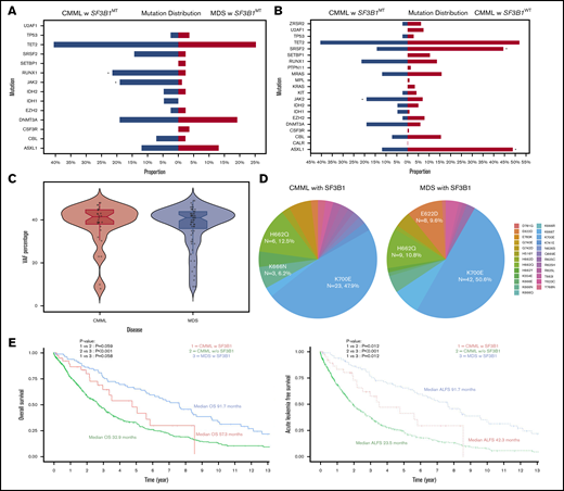Phenotypic correlates, molecular features, and survival outcomes of SF3B1MTCMML, SF3B1WTCMML, and SF3B1MTMDS-RS. (A-B) Mutational distribution of myeloid-relevant mutations in SF3B1MT CMML and SF3B1WT CMML (A) and SF3B1MT CMML and SF3B1MT MDS-RS (B). Asterisks denote statistically significant differences between the 2 groups. (C) Median VAF burdens of SF3B1 mutations in SF3B1MT CMML and SF3B1MT MDS-RS. (D) Amino acid changes in SF3B1 secondary to SF3B1 mutations in CMML and MDS-RS. (E) Pertinent outcomes including OS and acute leukemia–free survival (ALFS) among SF3B1MT CMML, SF3B1WT CMML, and SF3B1MT MDS-RS patients.