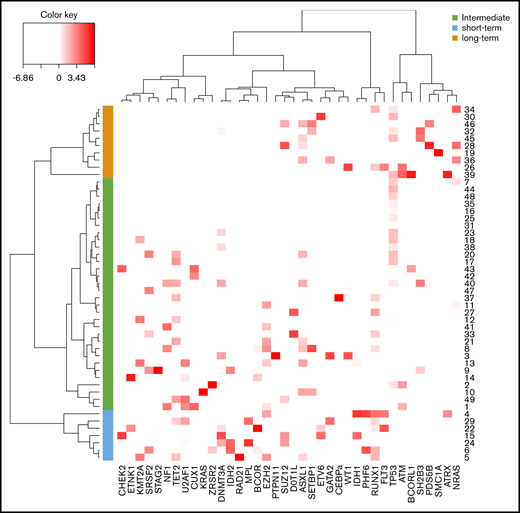 Classification of post-PV/ET AML according to their mutational landscape. Heat map based on the Euclidean distance, displaying the VAF of additional mutations. Genes are listed on the x-axis, and each row corresponds to a patient. The color scale represents the scaled abundance of each variable and is proportional to the allele burden (darker red represents higher allele burden). Three groups were identified for short-term (blue), long-term (orange), and intermediate (green) transformation.