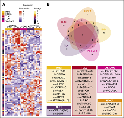 Specificities of circRNAs expression in T-ALL subgroups. (A) Expression profiles of the 75 circRNAs upregulated in at least 1 T-ALL group (DESeq adjusted P < .01; standardized expression values and per row log average expression are shown in the heatmap and in the bar on the right, respectively). (B) Venn diagram of circRNAs upregulated in each T-ALL subgroup overlap defines the circRNAs upregulated with group specificity; tables indicate circRNAs with average expression in the group >10 showing in larger characters those with expression >30.