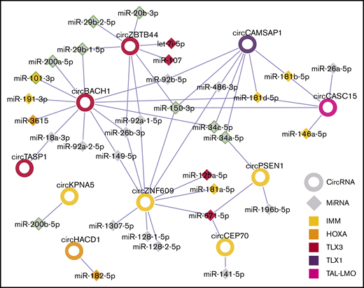 Summary of putative circRNAs interactions with miRNAs in T-ALL molecular subtypes. The network shows circRNA (rings) upregulated in T-ALL molecular subtypes linked to miRNAs (diamonds), according to miRNA recognition element predictions in circRNA sequences. CircRNA and miRNA node fill color indicates the molecular subtype identified, respectively, in this study and in Wallaert et al.6 A green border indicates miRNAs with tumor suppressor role in T-ALL.2,32