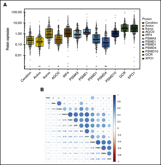 Protein expression in MM samples. (A) The abundance of each protein was assessed by CNIA and normalized with respect to GAPDH abundance in each case. (B) Correlogram of protein expression data. The size of the dots corresponds to the correlation coefficient between the pair of proteins indicated in the lower part of the graph.