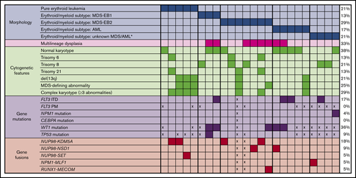 Cytogenetic and molecular features of AEL. Cases are separated according to morphology of PEL and erythroid/myeloid subtypes, with 2017 WHO classification used for MDS and AML. *2017 WHO classification could not be determined, as the total percentage of myeloid blasts in all cells (not just nonerythroid cells) was not recorded. PM, point mutation; x, not performed.
