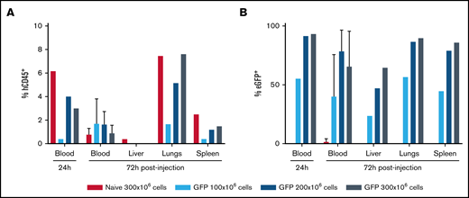 In vivo persistence in blood and egress to tissues sites by mRNA EP-transfected granulocyte-rich apheresis product cells. Infusion of apheresis cells into mice. High doses of GFP mRNA-transfected granulocytes (up to 300 × 106 cells per mouse) were IV injected into mice at 24 hours post-EP. GFP expression (B) was followed in the human CD45+ cells (A) after 24 hours in the PB and after 72 hours in the PB (n = 3-5 animals), liver, lungs, and spleen (n = 1).