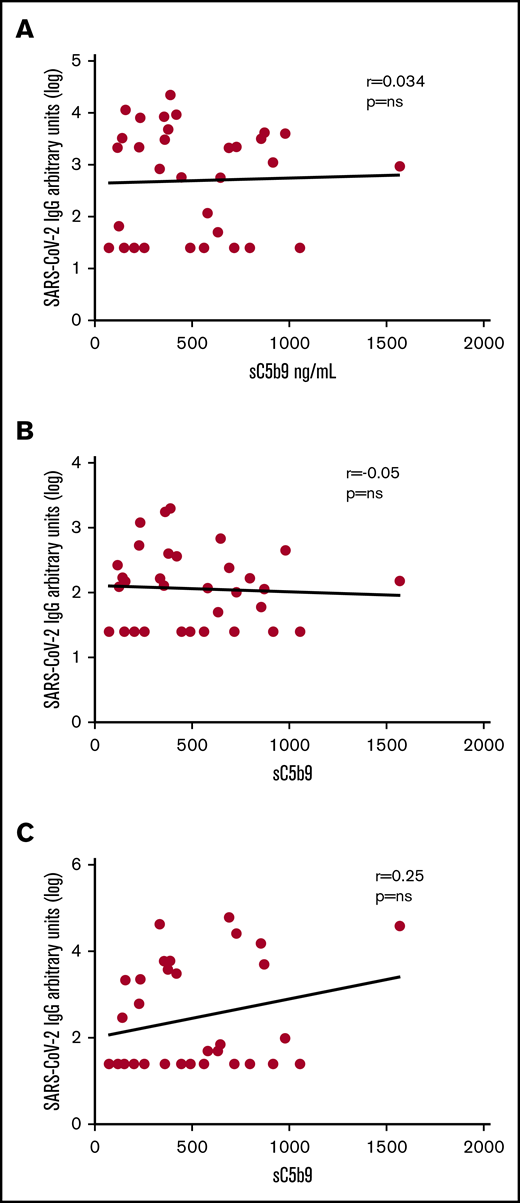 Absence of correlation between sC5b9 elevatons and antibodies against SARS-CoV-2. Correlation between sC5b9 vs the logarithmically transformed value of IgG (A), IgM (B), and IgA (C) against the SARS-CoV-2 RBD protein for a subset of included patients with MIS-C (n = 10), severe disease (n = 11), and minimal disease (n = 12).