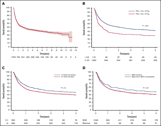 OS of 1375 patients undergoing DUCBT. (A) Whole cohort. (B) By TNCs. (C) By number of HLA mismatches. (D) By ABO compatibility. M/M, major/minor.