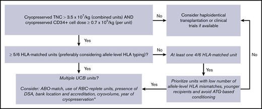 Suggested algorithm for UCB unit selection for DUCBT. *Based on current guidelines (see Barker et al14 and Dehn et al15 for further information). ATG, antithymocyte globulin; DSA, donor-specific antibody; RBC, red blood cell.