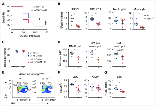 CD11c deficiency impairs HPSCs in the experimental polymicrobial abdominal sepsis model. Both WT and CD11c−/− mice were subjected to polymicrobial abdominal sepsis (ASM) induced by cecal ligation and puncture surgery. (A) Sepsis survival. Shown is 1 of 2 independent experiments with the same pattern. (B) Blood leukocyte counts at 36 hours after surgery. (C) Sera collected before or at 12 hours after surgery was measured for G-CSF by ELISA. (D) Bone marrow (BM) B-cell, preneutrophil, and mature neutrophil counts at 36 hours after surgery. Preneutrophils were identified as Lin−CD115−SiglecF−Gr-1+CD11b+CXCR4hic-kitintCXCR2− and mature neutrophils were identified as Lin−CD115−SiglecF−Gr-1+CD11b+CXCR4−c-kit−CXCR2+.66 (E) Representative flow cytometry plot of LSKs and CMPs identified by costaining c-kit and sca-1 in lineage-negative BM cells. (F) Absolute number of LSKs and CMPs in 2 femurs of WT and CD11c−/− mice at 24 hours after surgery. (G) Proliferation profile. At 20 hours after surgery, mice were pulsed with BrdU for an additional 4 hours, then analyzed for BrdU incorporation in the BM cells. (B-D,F-G) Symbols indicate individual mice. Data are representative of 2 experiments. Error bars indicate ± standard error of the mean (SEM). Statistical significance was tested with the log-rank test (A), Student t test (B,D,F-G), and 1-way analysis of variance (ANOVA) with Bonferroni post hoc analysis (C). *P < .05; **P < .01.