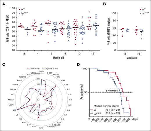 Lynup-Bmutation leads to subtle phenotypic changes. (A) Flow cytometric analysis of CD19+ cells in the peripheral blood of WT and Lynup-B mice over 1 year. (B) Flow cytometric analysis of CD19+ B cells in the spleens of young (<6 months) and old (>6 months) WT and Lynup-B mice. (C) Cytokine profile in sera of WT (n = 6) and Lynup-B (n = 6) mice. Data represent mean values (pg/mL). IL, interleukin. (D) Kaplan-Meier curves representing the overall survival of WT and Lynup-B mice from birth to moribund; P value was calculated by Mantel-Cox log-rank test. PBMC, peripheral blood mononuclear cell.