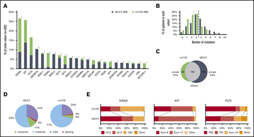 Mutational data of 350 CBF AML patients by high-throughput targeted sequencing. (A) The incidence of recurrently mutated genes (>3%) by CBF-AML entity. Asterisks indicate significant differences between both CBF-AML entities. (B) Bar plot indicating the number of driver events by patient for all patients in each CBF-AML cohort. Dashed lines indicate the median number of mutations in each CBF-AML cohort. (C) Number of privately or commonly mutated genes by CBF-AML entity. (D) Pie charts representing mutation type distribution by CBF-AML cohort. (E) Molecular hotspots. Bar plots indicating proportion of affected mutational hotspots in NRAS, KIT, and FLT3 by CBF-AML cohort.