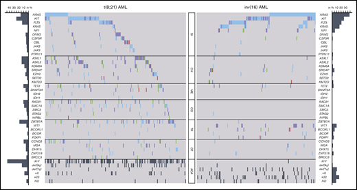 Mutational and cytogenetic landscape of 350 CBF-AML patients. Genes are grouped into functional groups. Each column represents a single patient; each colored box indicates a specified driver mutation. Wild-type cases are illustrated in light gray, missense mutations in blue, indels in purple, nonsense mutations in green, splice site mutations in pink, and additional chromosomal aberrations (ACA) in dark gray. Bar plots indicate the relative frequency of all aberrations in the corresponding CBF-AML cohort. CH, chromatin; CO, cohesin; ME, methylation; OT, other; SI, RTK/RAS signaling; TR, transcription.
