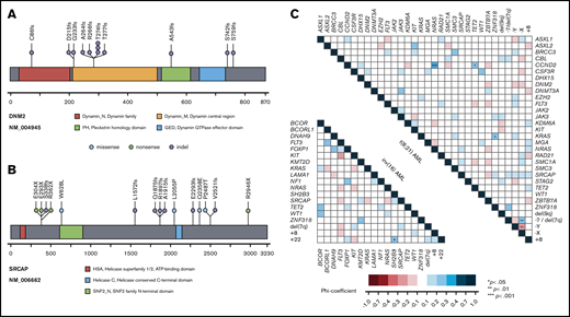 Recurrent mutations in DNM2 and SRCAP and genetic pattern in CBF-AML. Lollipop plots indicating localization of mutations and domain structure of DNM2 (A) and SRCAP (B). Each dot represents a single mutation; the corresponding color is the type of mutation. (C) Pairwise associations among genes and cytogenetic abnormalities found in at least 3% of CBF-AML patients. Associations are colored by φ coefficient. P values were adjusted for multiple testing using Benjamini-Hochberg method. Gene pairs that cooccurred more frequently are indicated by blue colors; gene pairs that cooccurred seldom by red colors. Significant associations are marked by asterisks depending on the level of significance.