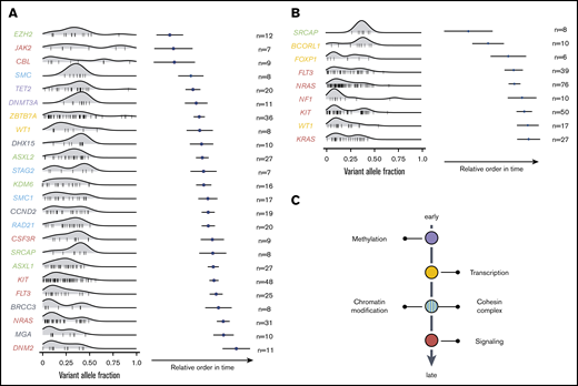 Sequential order of mutation acquisition in t(8;21) AML and inv(16) AML. (A) t(8;21) AML. (B) inv(16) AML. Bradley-Terry plot based on pairwise precedences of gene mutations. Only samples with ≥2 mutations were included in the model. The x-axis reflects the relative order of acquisition. Black dots indicate the point estimate; black lines indicate 95% confidence intervals of gene ordering in time. Genes are positioned along the y-axis on the basis of their relative order of occurrence. The variant allele frequency was adapted for sex and chromosomal aberrations. (C) Schematic illustration of mutational trajectory in CBF-AML leukemogenesis.
