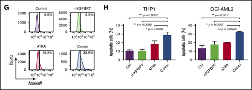 Enhanced IGFBP7 expression sensitizes APL cells to physiological concentrations of ATRA, and rhIGFBP7 potentiates ATRA-induced differentiation, inhibition of proliferation, and apoptosis in non-APL AML cells. For all experiments, AML cells were cultured in low serum condition and stimulated with PBS (Control/Ctrl), 300 µg/mL rhIGFBP7, 1.0 µM ATRA, or the combination (Combi) for 96 hours unless stated otherwise. Differentiation (membrane CD11b expression), proliferation, and apoptosis were measured using flow cytometry, and data are plotted as mean ± SEM. (A) Percentage of differentiation in NB4 cells, transduced with IGFBP7 shRNAs (#1 and #2) or scrambled (SCR) shRNA, after stimulation with 0.5 µM ATRA. P values were determined using 1-way ANOVA with post hoc Dunnett multiple-comparison test. (B-C) NB4 cells, transduced with control or IGFBP7-expressing (IGFBP7-OE) vectors, were stimulated with 0.01 µM ATRA. (B) Percentage increase in CD11b expression. (C) CFU assay (in duplicate), normalized against untreated control. (D) CD11b expression in HL60 cells, quantified relative to flow count beads. (E) Morphology of HL60 cells after stimulation for 72 hours, analyzed using a bright-field microscope (upper panels) and by May-Grünwald-Giemsa staining (lower panels). (F) Viability of AML cell lines after stimulation for 72 hours (HL60 and OCI-AML3 cells) or 120 hours (THP1 and KG1a cells) with rhIGFBP7, ATRA, or the combination, normalized against untreated control. (G) AnnexinV+ THP1 cells after stimulation for 120 hours. (H) Percentage of apoptotic (AnnexinV+ and 7AAD+) THP1 cells (left panel) or OCI-AML3 cells (right panel) after stimulation for 120 hours, quantified relative to flow count beads. Graphs are representative of ≥3 independent experiments. *P < .05, **P < .01, ***P < .001, ****P < .0001, 1- or 2-way ANOVA with post hoc Tukey’s multiple-comparison test, unless stated otherwise.