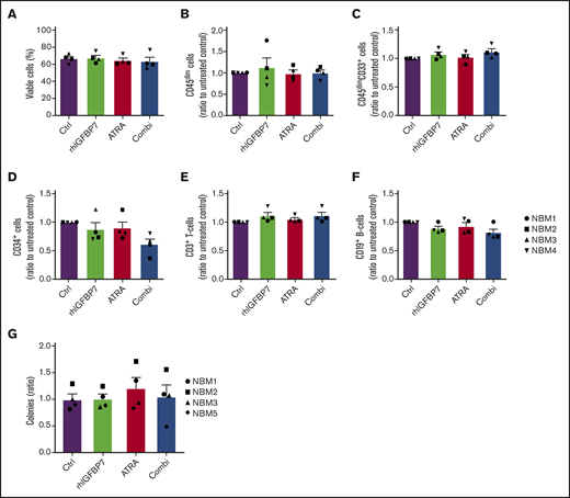 rhIGFBP7 and ATRA combination treatment does not affect healthy NBM cells. NBM cells derived from healthy donors were incubated with PBS (Ctrl), 100 µg/mL rhIGFBP7, 0.5 µM ATRA, or the combination (Combi) for 5 to 7 days. The effects of the treatments were normalized against untreated control cells and plotted as mean ± SEM. NBM samples were analyzed for the percentage of viable cells (A), CD45dim cells (B), myeloid CD45dimCD33+ cells (C), CD45dimCD34+ cells (D), CD3+ T cells (E), and CD19+ B cells (F) using flow cytometry and quantified relative to flow count beads. (G) CFU progenitor assays of NBM samples (in duplicate) after 7 days of treatment.