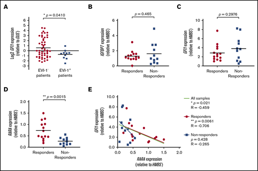 High RARA expression is a biomarker predicting sensitivity for rhIGFBP7-induced ATRA susceptibility in primary AML. Gene expression levels for GFI1 and RARA were measured by qRT-PCR (in triplicate). Patient sample characteristics of responders and nonresponders to rhIGFBP7 and ATRA combination treatment are summarized in supplemental Table 1. (A) Log2-transformed GFI1 gene expression in EVI-1− (n = 50) and EVI-1+ (n = 10) AML samples at diagnosis, measured relative to GUS expression. The relative GFI1 expression of 1 of the EVI-1+ AML samples was set at 1. IGFBP7 (B), GFI1 (C), and RARA (D) expression in responders and nonresponders to rhIGFBP7 and ATRA combination treatment, relative to HMBS expression, as measured by qRT-PCR. (E) GFI1 and RARA gene expression levels in responders and nonresponders to the combination of rhIGFBP7 and ATRA, relative to HMBS, as by qRT-PCR. Spearman’s correlation coefficients were calculated. *P < .05, **P < .01, Student t test, unless stated otherwise.