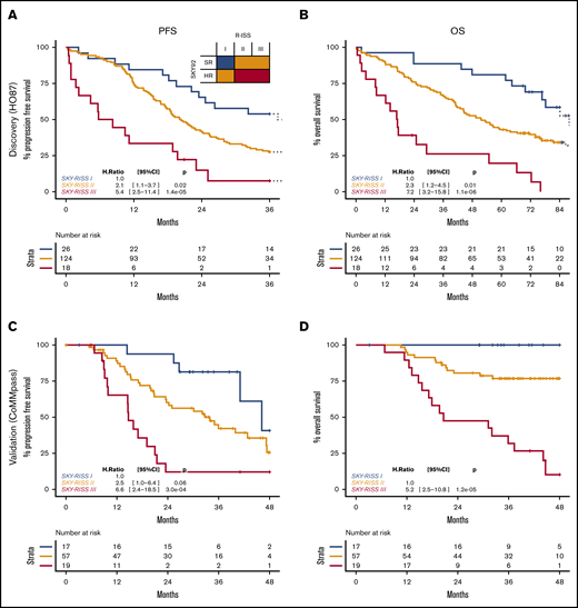 SKY-RISS classifications. Discovery data for PFS (A) and OS (B) and validation data for PFS (C) and OS (D). Because no events were observed for the SKY-RISS I group in the validation data, the SKY-RISS II group was used as a reference group in the Cox model.