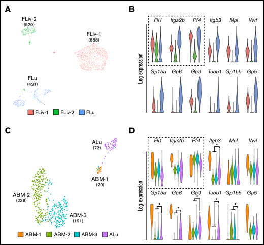 Lung MKs are transcriptionally distinct from their hematopoietic counterparts. (A,C) UMAP clustering of MK-lineage clusters from fetal liver (FLiv-1, FLiv-2), fetal lung (Flu), adult BM (ABM-1, ABM-2, ABM-3), and ALu. Fetal and adult lung MKs clustered independently from their hematopoietic counterparts. Numbers in parentheses indicate cell counts for associated clusters. (B,D) Violin plots comparing expression of key MK genes in associated clusters. Key genes used to confirm MK lineage identity are outlined with a dashed box. Colors of violin plots in panels B and D correlate with their respective clusters shown in panels A and C, respectively. *P < .01. (Asterisks indicating significance were withheld from panel B for visual clarity.)