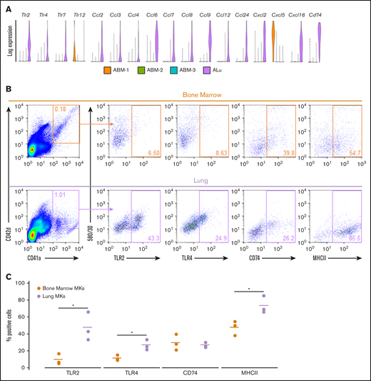 Adult Lung MKs exhibit significant upregulation of immune markers. (A) Gene-expression analysis of various TLRs, chemokines, and the surface immune marker Cd74 showed a distinct expression pattern with markedly more enrichment for many of these genes in lung MKs. (B) Flow cytometric assessment of TLR2, TLR4, CD74, and MHCII was performed on CD41a+/CD42d+ MKs. (C) Percentage of cells expressing these immune markers was quantified across 3 replicates, which demonstrated significantly higher expression of TLR2, TLR4, and MHCII in lung MKs. BSA enrichment was not used prior to immune marker analyses. *P < .05.