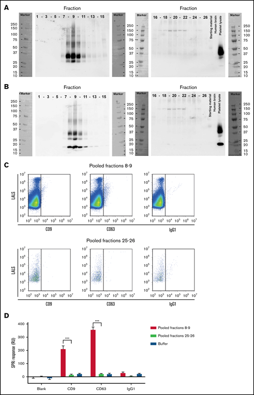 Isolation of EVs from human milk. Human milk was fractionated by Sepharose 2B SEC, and all fractions were blotted for common EV markers tetraspanins CD63 (A) and CD9 (B). CD63 blot was reused for CD9 staining. Starting material is shown, as well as platelet lysate (positive control) and human brain lysate (negative control). EV-containing fractions 8 and 9 were pooled, and presence of CD9 and CD63 were determined on single EVs by flow cytometry (C) and on bulk EVs by surface plasmon resonance imaging (D). Pooled fractions 25 and 26 were used as negative and procedural controls in panels C and D, respectively. Immunoglobulin G1 (IgG1) was used to correct for binding of antibodies to Fc receptors exposed on EVs. ***P < .001. LALS, large angle light scatter; SPRi, surface plasmon resonance imaging.