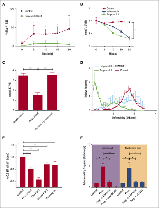 Propranolol induces Gardos channel–mediated erythrocyte dehydration. (A) Cells were stained with Fluo-4 to measure influx of Ca2+ in response to propranolol (Prop.) (n = 4; 1-way ANOVA). (B-C) K+ content in erythrocytes treated with propranolol or propranolol plus TRAM34 (n = 3; Student t test). (D) ARCA was performed to assess deformability of propranolol-treated erythrocytes (n = 3; Student t test). A/B ratio represents length over width ratio of the cells under shear. (E) Biotinylated M amurensis lectin was used to quantify α2,3-linked sialic acid on propranolol, aged, stored, and valinomycin-treated erythrocytes; data were normalized to untreated controls. (F) Effect of control, propranolol, and TRAM34 on adhesion and rolling frequency of erythrocytes to laminin-α5 and HA, respectively (n = 3-9; Student t test). Error bars indicate standard deviation unless otherwise noted. *P < .05; **P < .01; ***P < .001; ****P < .0001.