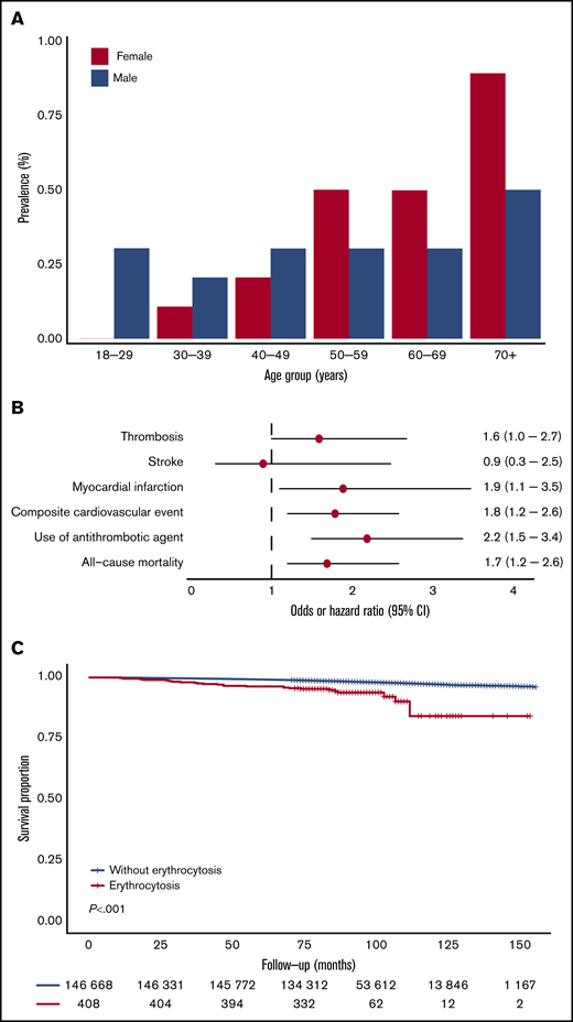 Prevalence of erythrocytosis (strict criteria) as function of sex and age and the association of erythrocytosis with CVD and survival. (A) Prevalence of erythrocytosis according to sex and age categories. (B) Forest plot for the risk of CVD and all-cause mortality. Logistic regression analyses and Cox proportional hazards regression included age, sex, BMI, systolic and diastolic blood pressure, smoking status, medical history of diabetes, number of medications used, androgen drug use, drugs for obstructive airway disease, antihypertensive drug use, family history of CVD, and LDL cholesterol as covariates. Absence of erythrocytosis was used as reference. Circles indicate the OR/HR, with horizontal lines corresponding to 95% CIs. (C) Kaplan-Meier curve for overall survival, stratified according to the presence of erythrocytosis.