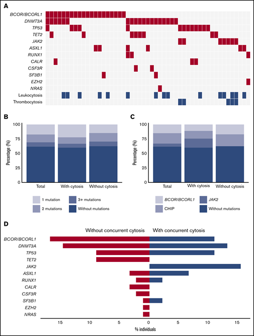 Spectrum of clonal hematopoiesis for individuals with erythrocytosis with and without concurrent leuko- and/or thrombocytosis. (A) Mutational landscape for all somatic mutations detected in sequenced individuals with erythrocytosis (n = 133). (B) Proportion of individuals with 1 or more mutations according to the presence of concurrent leuko- and/or thrombocytosis. (C) Proportion of individuals with mutated JAK2, BCOR/BCORL1, or other mutations (including CHIP genes) according to the presence of concurrent leuko- and/or thrombocytosis. (D) Contribution of individual mutated genes to the spectrum of clonal hematopoiesis detected in individuals with isolated erythrocytosis (red) and individuals with erythrocytosis with concurrent leuko- and/or thrombocytosis (blue). Bars indicate the proportion of individuals with a gene mutation.