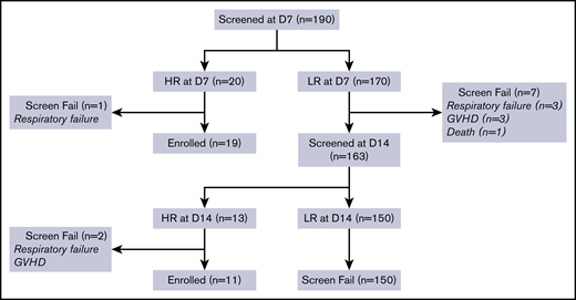 Screening and enrollment of trial patients. D, day; HR, high risk; LR, low risk.