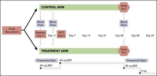 Study design, intervention, and assessment schema. A phase 2 RCT was conducted to evaluate the impact of β-blocker treatment on the HSC niche among a cohort of multiple myeloma patients undergoing a first autologous HCT. Patients were treated starting 1 week prior to transplant and continuing for 4 weeks following HCT. Blood samples were collected at baseline/before drug initiation (T1), 2 days prior to HCT and prior to conditioning treatment with melphalan (T2), and at 28 days posttransplant (T3).
