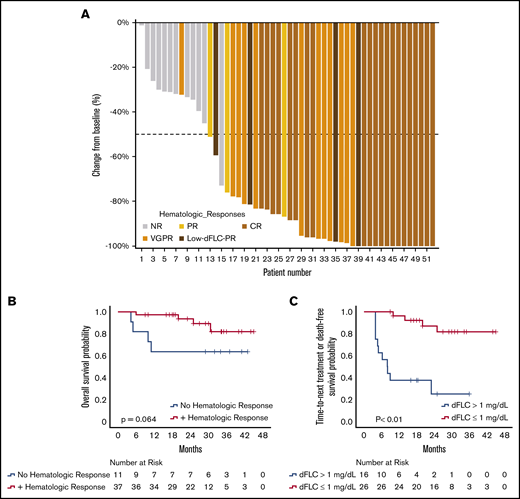 Hematologic responses with DMT. (A) Waterfall plot of best hematologic responses. (B) OS stratified by hematologic responses at 3 months. (C) TTNT or death among hematologic responders stratified by depth of response at 3 months. Panels B and C show 3-month landmark analyses; the 0 time point represents initiation of daratumumab.