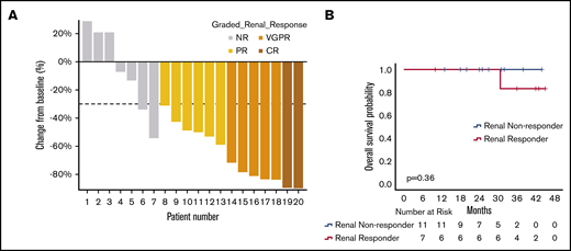 Renal responses with DMT. (A) Waterfall plot of best renal responses. Patients who were started on hemodialysis or had evidence of worsening creatinine clearance > 25% without available 24-hour urine protein measurements were excluded from the plot. (B) OS of renal responders and renal nonresponders at 6 months (6-month landmark analysis with 0 time point representing initiation of daratumumab).
