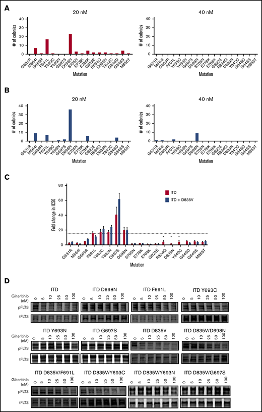 Mutation screen of FLT3-ITD and FLT3-ITD/D835 reveals kinase domain mutations that cause resistance to gilteritinib. Numbers of independently derived gilteritinib-resistant Ba/F3/FLT3-ITD subpopulations with amino acid substitution at the indicated residue obtained from a saturation mutagenesis assay for FLT3-ITD (A) and FLT3-ITD/D835V at the indicated gilteritinib concentration (B). (C) Relative resistance of Ba/F3 cells expressing indicated FLT3 TKD mutations in FLT3-ITD (red) and FLT3-ITD/D835V (blue) backgrounds. Resistance is expressed as fold-change compared with FLT3-ITD (ratio of mutant cell line IC50 over IC50 of FLT3-ITD cells). Error bars represent SD of 3 or more independent experiments. *Mutation was only assessed in FLT3-ITD background. Dotted line indicates fold-change in IC50 for FLT3-ITD/F691L cell line. (D) Western blot analysis using anti–phospho-FLT3 and anti-FLT3 antibody performed on lysates from interleukin-3-independent Ba/F3 populations expressing the FLT3-ITD–mutated isoforms indicated. Cells were exposed to gilteritinib at the indicated concentrations for 90 minutes.