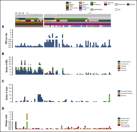 Mutational landscape. Explanatory tracks below sample names indicate the sampling point (diagnostic AP, BP, CP, or follow-up sample), treatment response for CP cases (poor, suboptimal, or optimal), expansion compartment (myeloid, lymphoid, or ambiguous) for AP/BP cases, sequencing strategy (WES or panel sequencing), variant calling strategy (tumor normal or tumor only), and control sample type (skin, T cells, or PMNC). The following tracks show mutation load calculated as number of SNVs per mbp (A), the number of SNVs identified in each sample by the consequence of the mutation (B), the number of small frameshift insertions and deletions identified in each sample by the consequence of the frameshift insertion and deletion (C), and the number of viral reads in each sample expressed as CPMs (D). Diagnostic samples from patients #22, #33, #41, #42 and follow-up sample from patient #42 were excluded from the analysis.