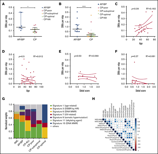 Mutation loads and cancer signatures. Numbers of SNVs per mbp in individual samples in WES (A) and targeted sequencing (B). Samples were categorized into AP/BP (WES, n = 7; panel, n = 12) and CP (WES, n = 12; panel, n = 31) cases. CP cases with optimal (WES, n = 4; panel, n = 16), suboptimal (WES, n = 3; panel, n = 10), and poor (WES, n = 4; panel, n = 3) responses are marked with green, orange, and red, respectively. CP samples with missing response data (WES, n = 1; panel, n = 2) are marked with gray. Scatterplots compare mutation load per mbp and age in WES (C) and targeted sequencing (D) data sets and mutation load per mbp and Sokal score in WES (E) and targeted sequencing (F). Correlations between variables were assessed using Pearson's correlation coefficient. (G) Normalized weights of trinucleotide signatures identified in AML (n = 11), AP/BP (n = 19), and CP (n = 39) cases. CP samples were also subset to optimal (n = 19), suboptimal (n = 10), and poor (n = 7) responders. Variants were pooled across WES and panel sequencing cases. Weights of most frequent signatures in each cancer type are shown across cancers as separate signatures. Summed weight of other signatures is represented by the category “other.” (H) Correlation matrix showing Spearman correlation between normalized weights of signatures of AML, AP/BP, CP, and CP subsets calculated using WES, panel, or combined WES and panel data. Blue dot color indicates positive correlations and red negative correlations as expressed in r values. The dot size represents −log10 P values. Nonsignificant correlations (P > .05) were removed. *P < .05; ****P < .0001. Diagnostic samples from patients #22, #33, #41, #42 and follow-up sample from patient #42 were excluded from the analysis.