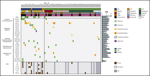 Landscape of relevant nonsilent variants at diagnosis. Potentially relevant nonsilent (ie, nonsynonymous SNVs and frameshifting insertions and deletions that were linked with cancer or occurred in genes that mutated in 2 or more patients) variants. Explanatory tracks from top to bottom show the sampling point (AP, BP, CP or follow-up sample), treatment response for CP cases (poor, suboptimal, or optimal), and expansion compartment (myeloid, lymphoid, or ambiguous) for AP/BP cases, sequencing strategy (WES, panel sequencing, or RNA sequencing), and variant calling strategy (tumor normal or tumor only). The color of the variant box indicates the type of mutation. The average expression of the genes in 7 AP/BP, 5 CP, and 4 healthy subjects are shown on the right, expressed as CPMs. Bar lengths indicate means and error bars repesent range. At the bottom, additional chromosomal abnormalities (ACA) found using karyotyping techniques are shown. *Patients with samples from both CP and AP/BP.
