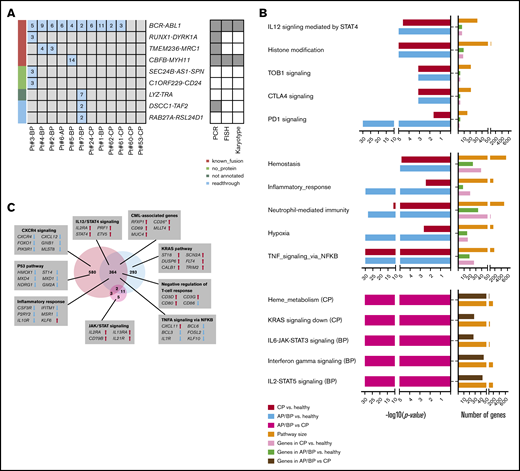 Expression landscape. (A) Fusion genes found in 7 AP, BP, or CP samples. Fusions were classified into 4 categories: known fusions, fusions including genes without a known protein product, unannotated fusions, and readthroughs. Blue (left) indicates detection of the fusion, and numbers indicate the number of unique reads supporting the fusion. The methods employed to validate the fusions are shown (right). (B) Depiction of the main molecular pathways with altered expression between healthy and CP cases, healthy and AP/BP cases, and CP and AP/BP cases. Upregulated pathways (top) and downregulated pathways (middle) in comparison with healthy cases. Deregulated pathways (bottom) in AP/BP vs CP cases. Pathways with P = .00 were set to the minimum P of all pathways divided by 2 in the visualization. (C) Venn diagram showing the number of differentially expressed genes between AP/BP and healthy (light blue), CP and healthy (light red), and AP/BP and CP. Differentially expressed genes relevant for CML pathogenesis are highlighted in the figure. Upregulated genes are highlighted with arrows pointing upward and downregulated genes with arrows pointing downward. *Genes significantly differentially expressed in AP/BP in comparison with healthy, but borderline significance (Q > .05 and Q < .10) in CP, in comparison with healthy cases.