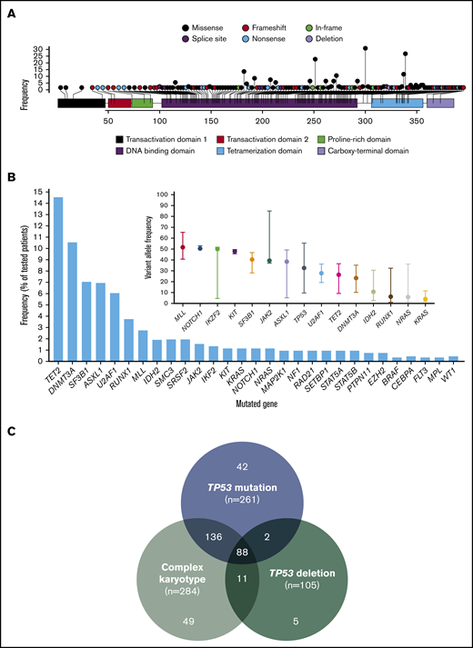 Landscape of identified TP53 mutations and other co-mutations. (A) Lollipop plot representing all identified mutations in TP53. Height of bar plot represents frequency of a specific mutation. Color of each mutation (circles) represents mutation type. Color of each gene region represents domains. (B) Frequency of identified mutations in other genes by amplicon-based next-generation sequencing. VAFs of identified mutations with median and range. Mutations are ordered by decreasing median VAF. (C) Frequencies of TP53 mutation, TP53 deletion, and complex karyotype among the entire patient cohort (n = 938).