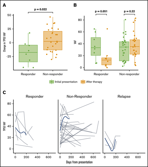 Influence of TP53 mutation VAF in response and dynamic changes of TP53 VAF throughout therapy. (A) Percentage change in TP53 mutation VAF before and after therapy in patients with and without a clinical response to HMA therapy. (B) TP53 VAF before and at the time of response assessment in patients with and without clinical response to HMA therapy. (C) Time-dependent changes of TP53 VAF among 64 patients with multiple sequencing time points throughout the course of therapy, including response assessment, disease progression, transformation, or relapse. Gray lines represent changes in a specific patient; blue lines represent tendencies of the entire evaluable cohort.