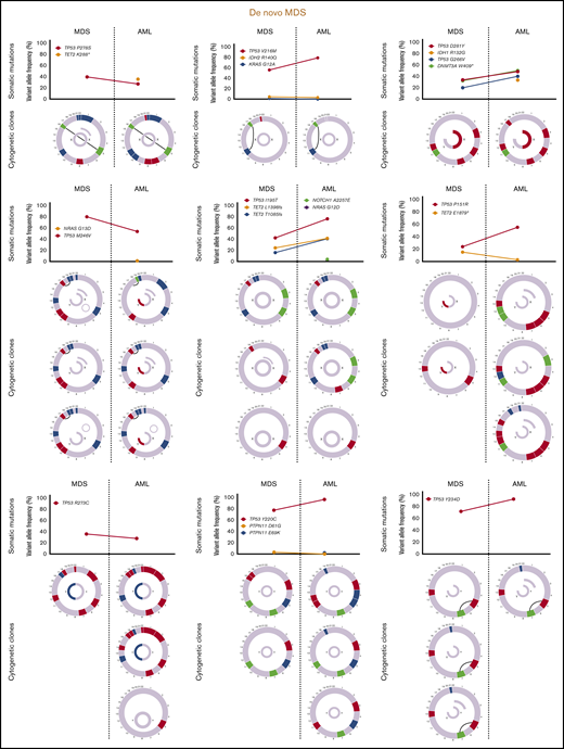 Cytogenetic evaluation and next-generation sequencing at baseline and time of transformation to AML. For each section of the figure, the upper graph represents VAF of detectable mutations at the time of diagnosis of MDS and at transformation. Lower graphs represent gain (blue) or loss (red) of chromosomal material and translocations (thin black lines connecting chromosomes) present at diagnosis or transformation. A partial semicircle present in the upper right corner of sexual chromosomes in some patients represents marker chromosomes. Inversions or derivatives are shown in green.