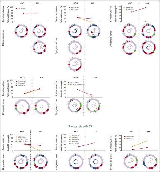 Cytogenetic evaluation and next-generation sequencing at baseline and time of transformation to AML. For each section of the figure, the upper graph represents VAF of detectable mutations at the time of diagnosis of MDS and at transformation. Lower graphs represent gain (blue) or loss (red) of chromosomal material and translocations (thin black lines connecting chromosomes) present at diagnosis or transformation. A partial semicircle present in the upper right corner of sexual chromosomes in some patients represents marker chromosomes. Inversions or derivatives are shown in green.