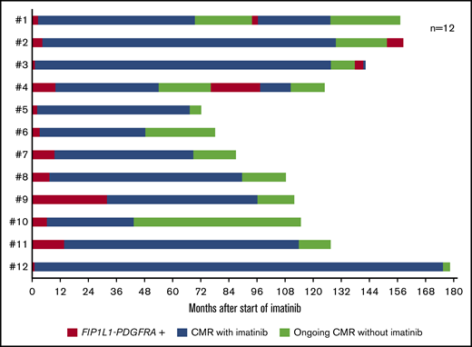 Follow-up of 12 patients with FIP1L1-PDGFRA–positive MLN-eo after discontinuation of imatinib. CMR was assessed by nested RT-PCR.