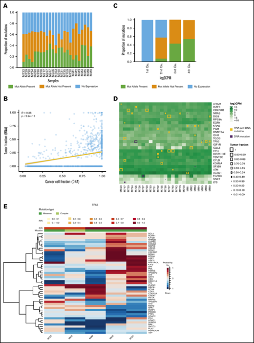 Expression of gene mutations. (A) Stacked bar chart showing the proportion of mutations for each patient that are expressed (present) or not because the mutated (mut) allele is not expressed (not present) or the gene is not expressed at all. (B) Scatter plot showing a correlation between the cancer cell fraction by DNA analysis and the tumor fraction by RNA analysis, the latter representing the ratio between mutant and wild-type transcripts. (C) Stacked bar chart showing the proportion of mutations that are expressed or not expressed for each quartile (Qu) of gene expression because the mutated allele is not expressed (not present) or the gene is not expressed at all. (D) Heat map for the most commonly mutated genes (in rows) showing their expression level in each patient (columns); whether a mutation is present in both RNA and DNA samples or in DNA samples only; and the cancer cell fraction of that mutation, which is proportional to the size of the square. (E) Heat map showing the probabilities of genes being dysregulated in patients with mutated TP53. P(F) denotes the probability that the mutation affects the expression in the same individual; mutation type can be either missense or complex (complex indicates that the patient has more than 1 mutation). The probability scale indicates the probability that the gene is upregulated (red) or downregulated (blue).