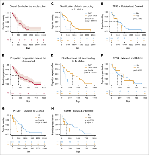 Survival analysis. (A-B) Kaplan-Meier plot of the OS and PFS of the cohort. (C-D) A significant negative effect is observed on PFS (but not on OS after P value correction) in patients harboring amplification of chr1q (ie, >3 copies). (E-F) No significant effect is observed in patients showing a double-hit of the TP53 locus. (G-H) A trend toward shorter survival is observed in patients with deletion or mutations of the PRDM1 gene in chr6q. For all plots, numbers of patients at risk are shown in tables below the graphs.