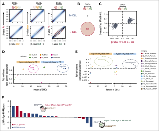 CLL fractions revealed an intraclonal program of accumulated epigenetic changes linked to the longevity of the cells. (A) Scatter plots for pairwise comparisons of DNA methylation between fractions. Differentially methylated CpGs are highlighted as black (FDR-adjusted P < .05) or red (FDR-adjusted P < .05 and β-value difference ≥10%) dots, based on paired linear models generated with the R/Bioconductor package limma. (B) Venn diagram showing IGHV-specific differential methylation between PF and RF (red dots in panel A). (C) Scatter plot illustrating similar tendencies in U-CLL (x-axis) and M-CLL (y-axis) patients for those differences in DNA methylation β-values primarily identified only in U-CLL between RF and PF (red dots in panel A). Relative distribution of DMCs between PF and RF in relation to CpG islands (D) or across chromatin states identified in the lymphoblastoid cell line GM12878 by ChromHMM (E). Distribution of hypomethylated sites is depicted by downward-pointing triangles, while distribution of hypermethylated sites is depicted by upward-pointing triangles. The y-axis shows fold enrichment for the corresponding DMCs over the frequency of all measured CpGs within the same regions, and the x-axis shows the percent of the indicated DMCs that occur in each annotation feature depicted by different colors. Larger symbol sizes depict P < .01. (F) The rate of methylation aging during the CLL life cycle is displayed as difference in DNAm age (years) between the PF and RF intraclonal fractions. Individual CLL patients are color-coded by IGHV mutation status and ranked by absolute difference in the recently born PF cells.