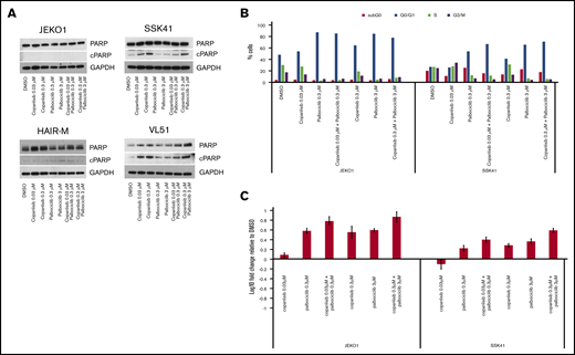 Combination of the PI3K inhibitor copanlisib with the CDK4/6 inhibitor palbociclib did not induce apoptosis in MCL and MZL cell lines, but did induce G0/G1 arrest with upregulation of PIK3IP1. (A) Four cell lines were exposed for 24 hours to copanlisib (30 nM, 300 nM), palbociclib (0.3 μM, 3 μM), or the combination of the 2 agents. (B) Cell-cycle analysis of 1 MCL (JEKO1) and 1 MZL (SSK41) cell line exposed for 24 hours to copanlisib (30 nM, 300 nM), palbociclib (0.3 μM, 3 μM), or the combination of the 2 agents. (C) RNA changes of PIK3IP1 in 1 MCL (JEKO1) and 1 MZL cell line exposed for 24 hours to copanlisib (30 nM, 300 nM), palbociclib (0.3 μM, 3 μM), or the combination of the 2 agents.
