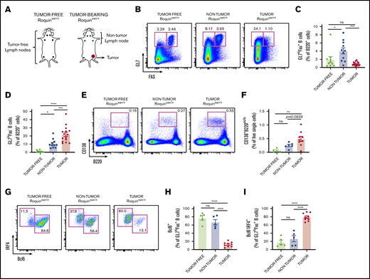 An increase in plasmablasts in tumor lymph nodes of Roquinsan/+mice. (A) Pictogram illustrating differences between tumor-free and -bearing mice, as well as providing a pictorial explanation of tumor-free, nontumorous (non-tumor), and tumorous (tumor) lymph nodes. (B-D) Representative flow cytometric analyses and frequencies of B-cell populations using the surface markers Fas and GL7 (n = 10 tumor-free; n = 11 nontumorous; and n = 15 tumorous samples). (E-F) Representative flow cytometry plots and histograms comparing the frequency of plasmablasts (n = 5 tumor-free, n = 6 nontumorous; and n = 9 tumorous samples). (G-I) Expression profile of Bcl6 and IRF4 in GL7hiFas+ B cells as depicted through representative flow cytometry plots and frequencies (n = 5 tumor-free; n = 5 nontumorous; and n = 9 tumorous samples). Error bars in panels C-D,F,H-I represent the standard error of the mean (SEM). Data are pooled from at least 2 independent experiments. *P < .05; **P < .01; ***P < .001; ****P < .0001. ns, not significant.