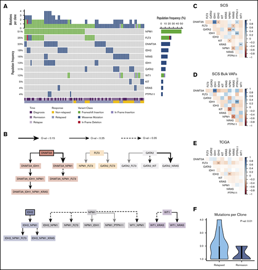 Mutation landscape as observed by using SCS. (A) Somatic mutations are shown across 97 unique clones (columns) from 38 unique patient samples. Columns are coded at the bottom based on clinical time point and response status. (B) Mutation order was determined by temporally directed edges when 2 putative driver mutations were identified per sample. Mutation ordering was counted across all samples. The edges infer temporal sequences of mutations, and significance is illustrated by Q values (as discussed in "Methods"). Mutations that are likely to occur early are emphasized with a thick border. The resulting graph illustrates the most likely temporal acquisition of mutations across all samples. (C) Cooccurrence of mutations identified from SCS were assessed by using Spearman correlation matrices across all 97 unique clones. (D) Cooccurrence of mutations is indicated from aggregated per-patient VAFs calculated from SCS data. (E) Cooccurrence of mutations from bulk NGS VAFs obtained from the TCGA is indicated for the Tapestri panel mutations. The plot shows cooccurrence (blue) or exclusivity (red) with color coding and the false discovery rate–corrected statistical significance. (F) Comparison of the number of mutation variants per cell identified by using SCS at diagnosis based on the patient’s eventual response. *P < .1; **P < .05; ***P < .01.